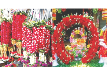 पर्यावरणपूरक गणेशोत्सव कागदावरच