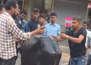 गटारात पडलेल्या गायला जीवदान