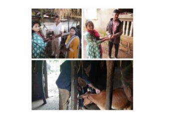 पशुसंवर्धन विभागाकडू जनावरांची तपासणी