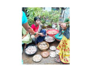 मासळीच्या पहिल्या हंगामाला सुरूवात