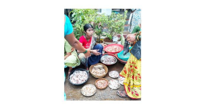 मासळीच्या पहिल्या हंगामाला सुरूवात