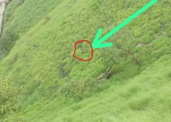 पर्यटनासाठी आलेल्या ग्रुपमध्ये वाद