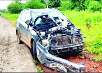 कारच्या धडकेत म्हशींचा मृत्यू
