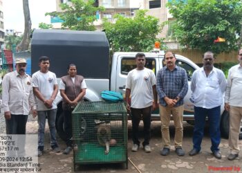 विचित्र आजाराच्या माकडाला पकडले