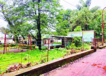 वनखात्याच्या जागेवर हॉटेलधारकांचे अतिक्रमण