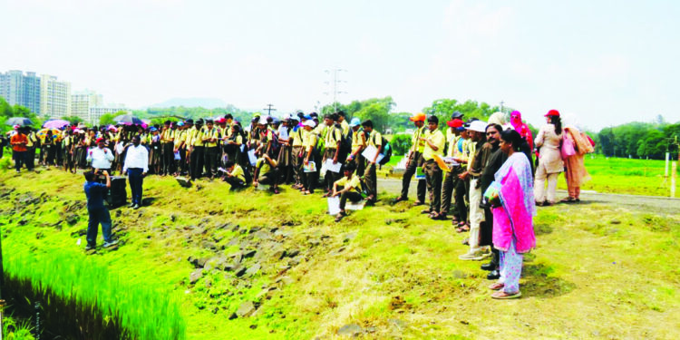 मालाडच्या विद्यार्थ्यांनी घेतले शेतीचे धडे