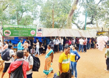 ई-रिक्षांची संख्या वाढवण्याची गरज