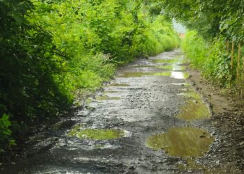 फणसापूर ते चौल-गायचोळे रस्ता तात्काळ करा