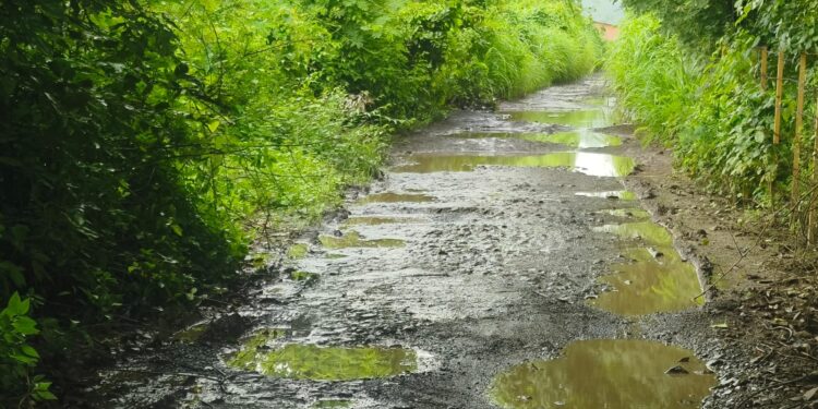 फणसापूर ते चौल-गायचोळे रस्ता तात्काळ करा