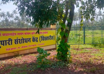 दिवेआगरात सुपारी संशोधन केंद्राची उभारणी