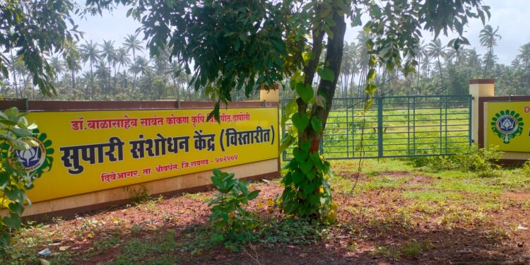 दिवेआगरात सुपारी संशोधन केंद्राची उभारणी
