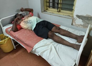 गणेशभक्तांवर मधमाशांचा हल्ला