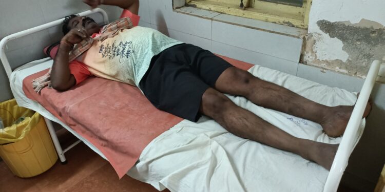 गणेशभक्तांवर मधमाशांचा हल्ला