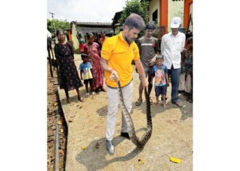 सात फुटी अजगराला जीवनदान