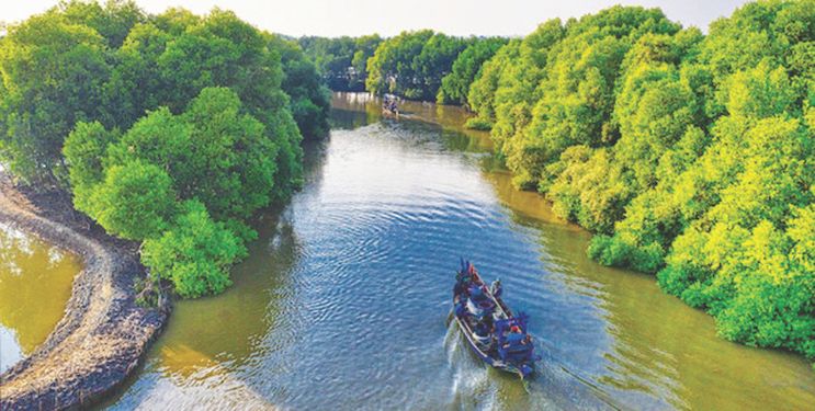 कोकणात कांदळवन पर्यटन क्षेत्राची निर्मिती