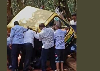 ई-रिक्षा चालकाच्या बेपर्वाईमुळे अपघात