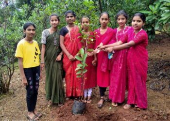 विजयभूमी विद्यापीठात पर्यावरणपूरक कार्यक्रमाचे आयोजन