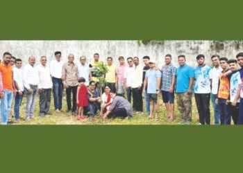 चोंढी विभागाचे वृक्षारोपण