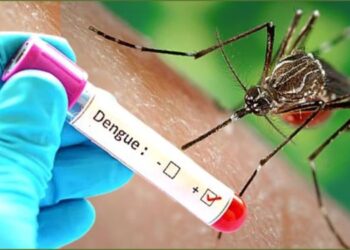रायगडला डेंग्यूचा ‘ताप’