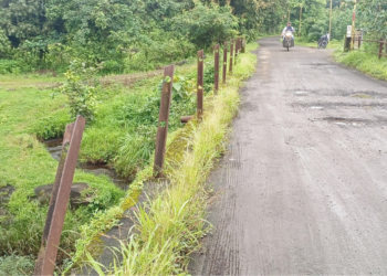 एकसल पुलावरील वाहतूक बनली धोकादायक