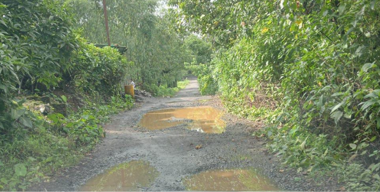 महागाव-कोरखंडे रस्त्यावर खड्डयांचे साम्राज्य