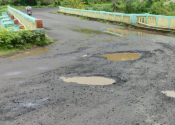 वाघ नदीवरील जीवघेणे खड्डे