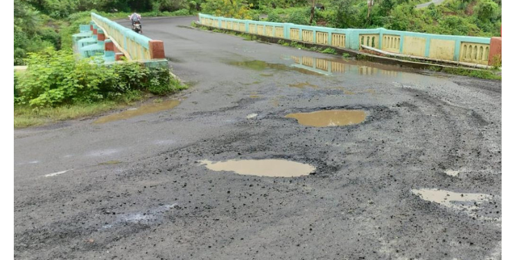 वाघ नदीवरील जीवघेणे खड्डे