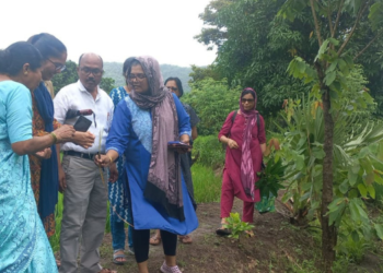 कीड रोग प्रादुर्भावाबाबत शेतकर्‍यांना मार्गदर्शन