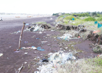 आक्षी, साखर गावाला उधाणाचा धोका