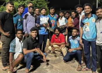खांदाडातील तरुणांनी पकडले मगरीचे पिल्लू