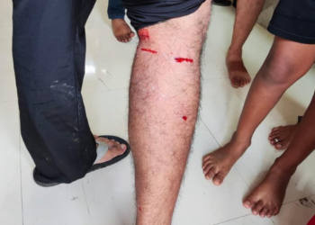 मोहोपाडा परिसरात पिसाळलेल्या श्वानांची दहशत