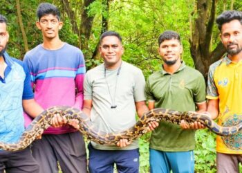 सर्पमित्रांनी दिले सात फुटी अजगराला जीवदान