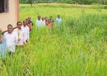 शेतकर्‍यांची मेहनत मातीमोल