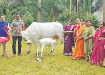 फुले महाविद्यालयाच्या सौंदर्यात भर