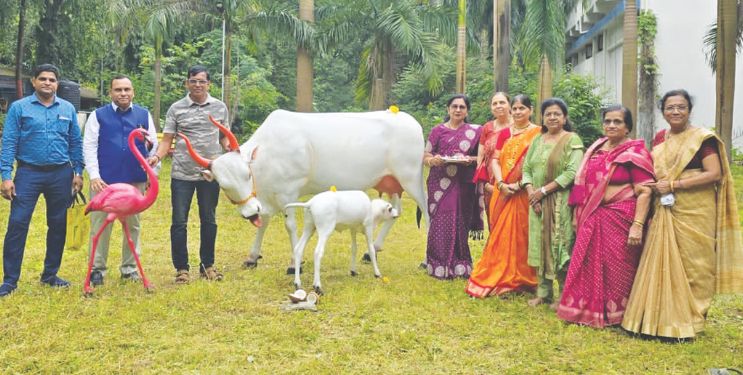 फुले महाविद्यालयाच्या सौंदर्यात भर
