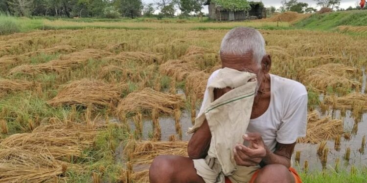 जिल्हा प्रशासनाचा नुकसानभरपाईला ठेंगा