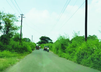 रस्त्यावरील गवतामुळे अपघाताचा धोका