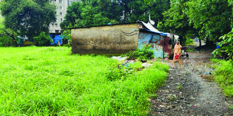 अडीचशे कोटींची जमीन सिडकोला देण्यास नकार