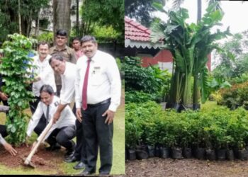 प्रकृती रिसॉर्टमध्ये वृक्षारोपण