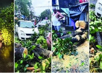 झाड कोसळून वाहनांचे नुकसान