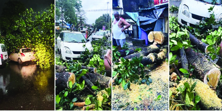 झाड कोसळून वाहनांचे नुकसान