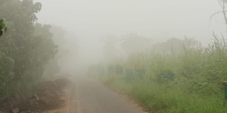 एमआयडीसी परिसराला वायूप्रदूषणाचा फटका