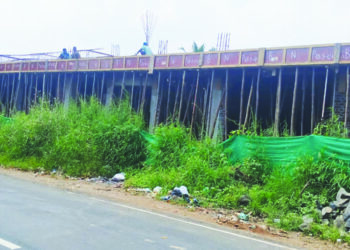 प्रशासनाचे दुर्लक्ष; शासकीय जागेवर अतिक्रमण