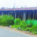 प्रशासनाचे दुर्लक्ष; शासकीय जागेवर अतिक्रमण