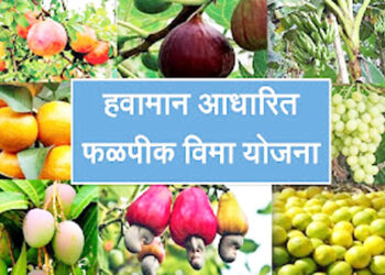 फळपीक विमा योजना