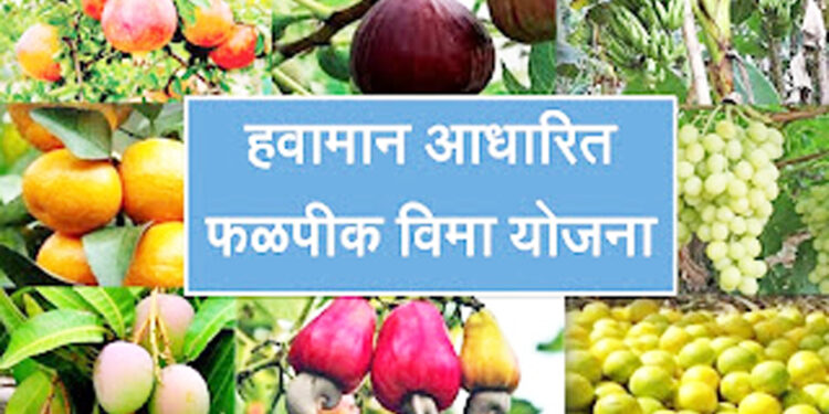 फळपीक विमा योजना