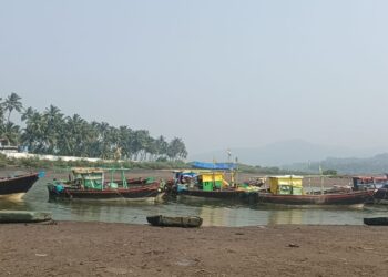 तापमानवाढीचा परिणाम मासळीवर