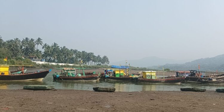 तापमानवाढीचा परिणाम मासळीवर