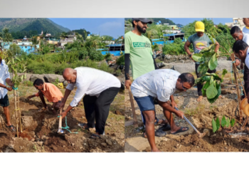 उरणमध्ये वृक्षारोपण कार्यक्रम संपन्न