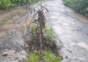 भुयारी गटारे देत आहेत अपघाताला निमंत्रण